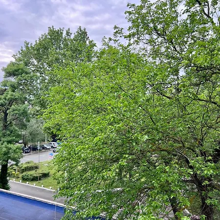 Апартаменты Excelsior Romantic 50m To The *